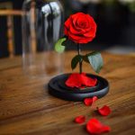 دانلود آهنگ مثل تموم عالم حال منم خرابه خرابه خرابه